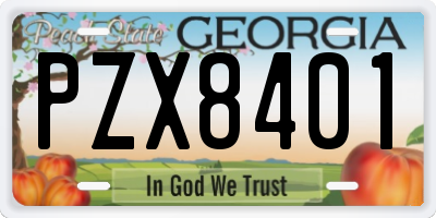 GA license plate PZX8401