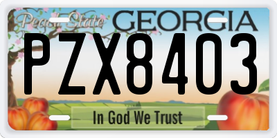 GA license plate PZX8403