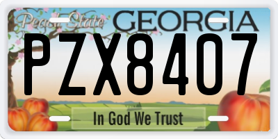 GA license plate PZX8407