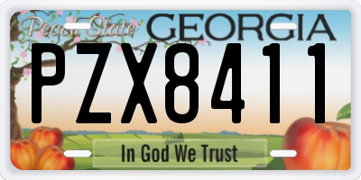GA license plate PZX8411