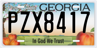 GA license plate PZX8417