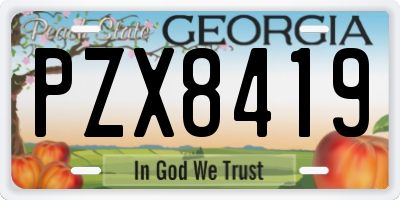 GA license plate PZX8419