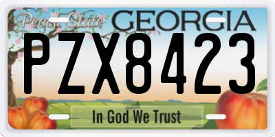 GA license plate PZX8423