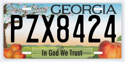 GA license plate PZX8424