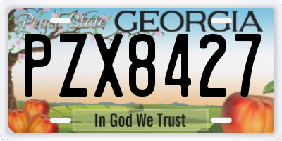 GA license plate PZX8427