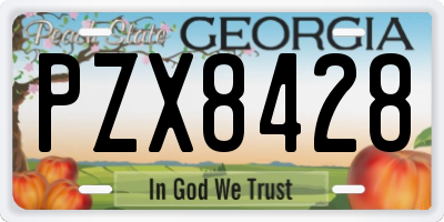 GA license plate PZX8428