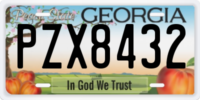 GA license plate PZX8432