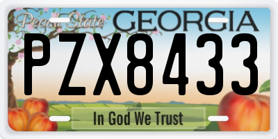 GA license plate PZX8433