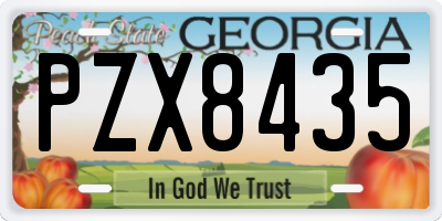 GA license plate PZX8435