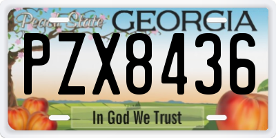 GA license plate PZX8436