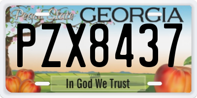 GA license plate PZX8437
