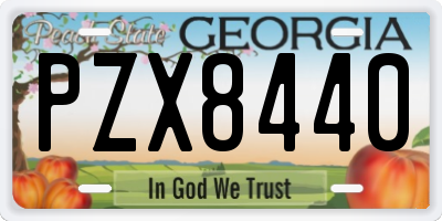 GA license plate PZX8440