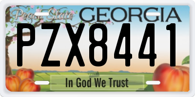 GA license plate PZX8441