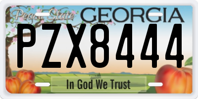 GA license plate PZX8444