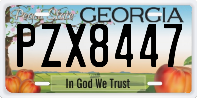 GA license plate PZX8447