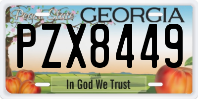 GA license plate PZX8449