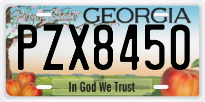 GA license plate PZX8450
