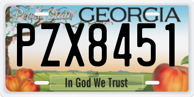 GA license plate PZX8451