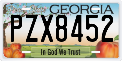 GA license plate PZX8452