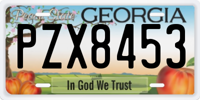 GA license plate PZX8453