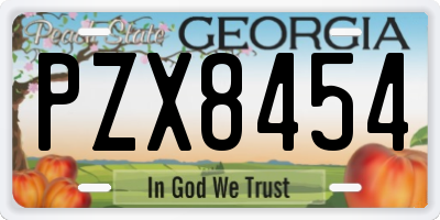 GA license plate PZX8454
