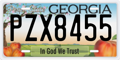 GA license plate PZX8455