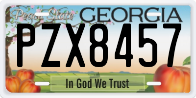 GA license plate PZX8457
