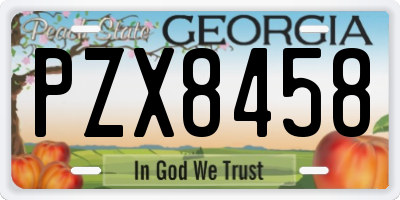 GA license plate PZX8458