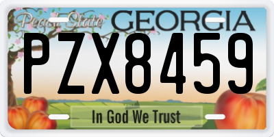 GA license plate PZX8459
