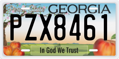 GA license plate PZX8461