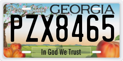 GA license plate PZX8465
