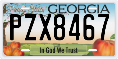 GA license plate PZX8467