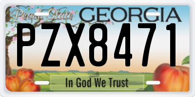 GA license plate PZX8471