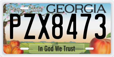 GA license plate PZX8473
