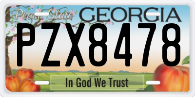 GA license plate PZX8478