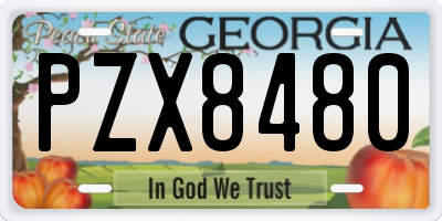 GA license plate PZX8480