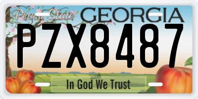 GA license plate PZX8487