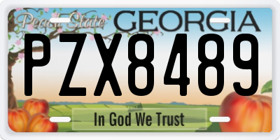 GA license plate PZX8489