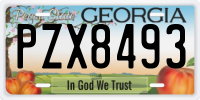 GA license plate PZX8493