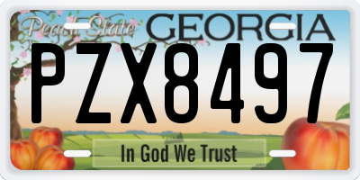 GA license plate PZX8497