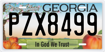 GA license plate PZX8499