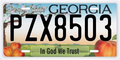 GA license plate PZX8503