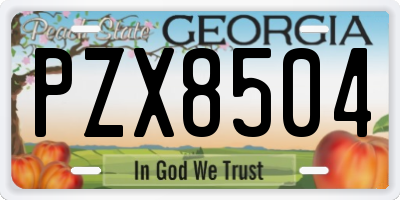 GA license plate PZX8504