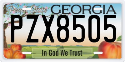 GA license plate PZX8505