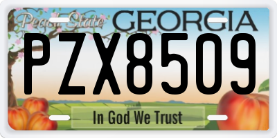 GA license plate PZX8509