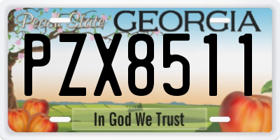 GA license plate PZX8511