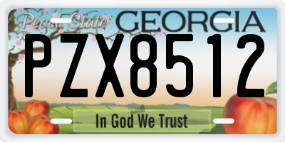 GA license plate PZX8512