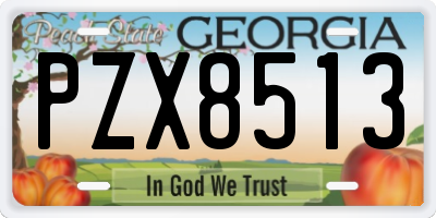 GA license plate PZX8513