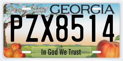 GA license plate PZX8514