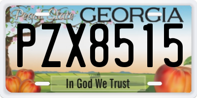 GA license plate PZX8515
